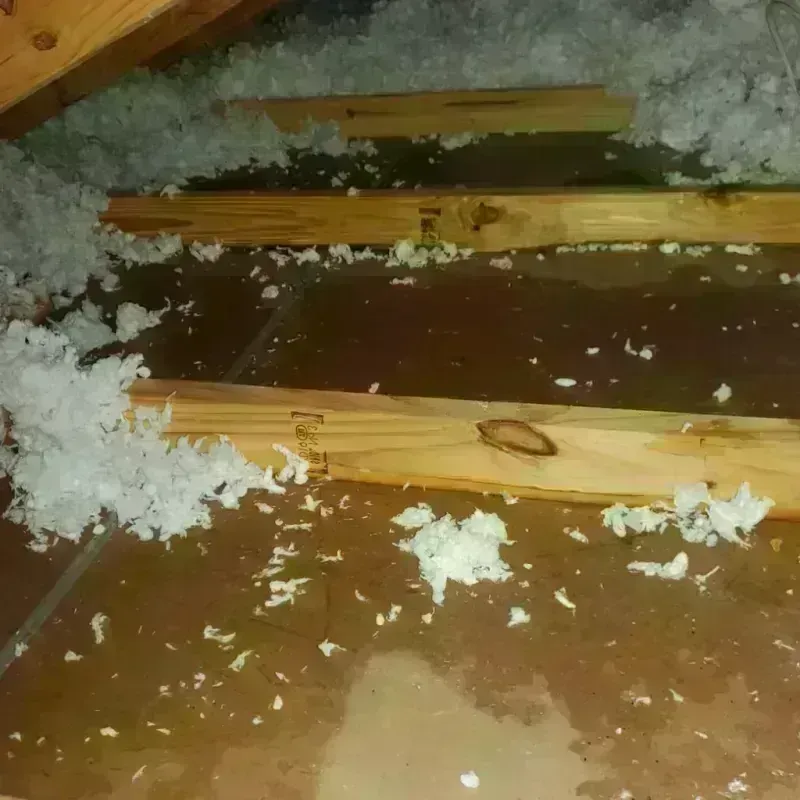 Attic Water Damage in Shoals, IN